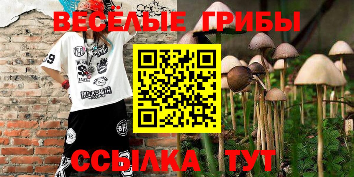 Псилоцибиновые грибы мухоморы Сургут